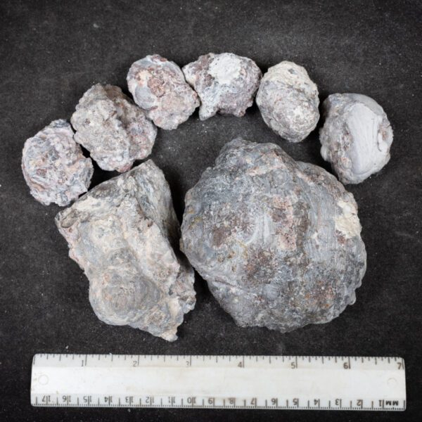 Baker Ranch Agate Nodules