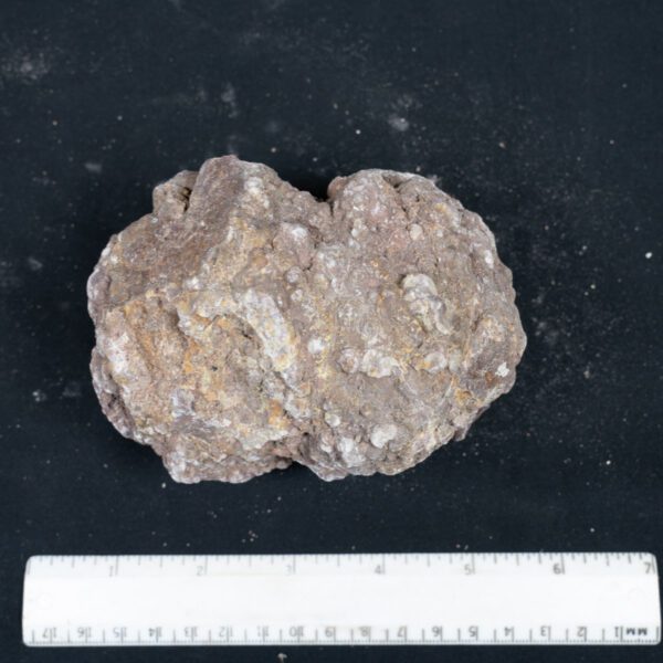 Black Rock Thunderegg