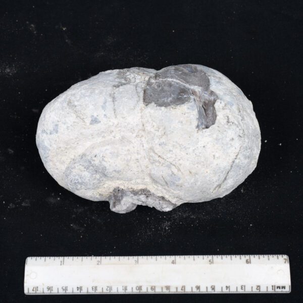 Dugway Geode Rough
