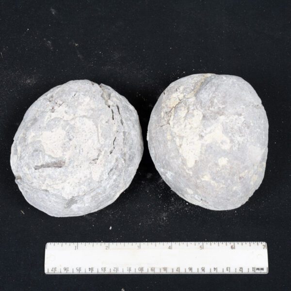 Dugway Geode Rough