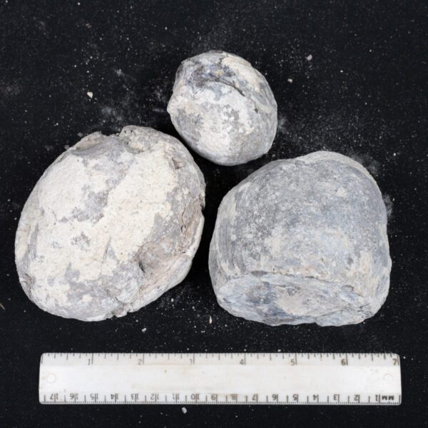 Dugway Geode Rough