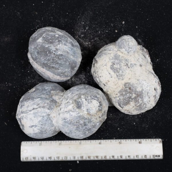 Dugway Geode Rough