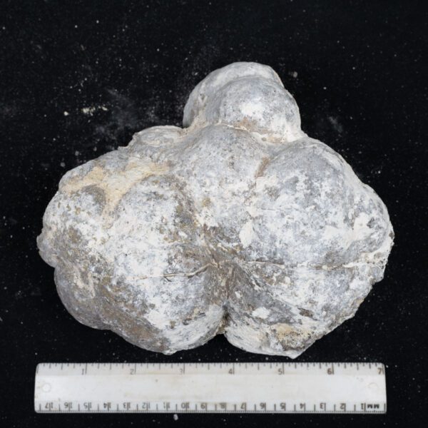 Dugway Geode Rough