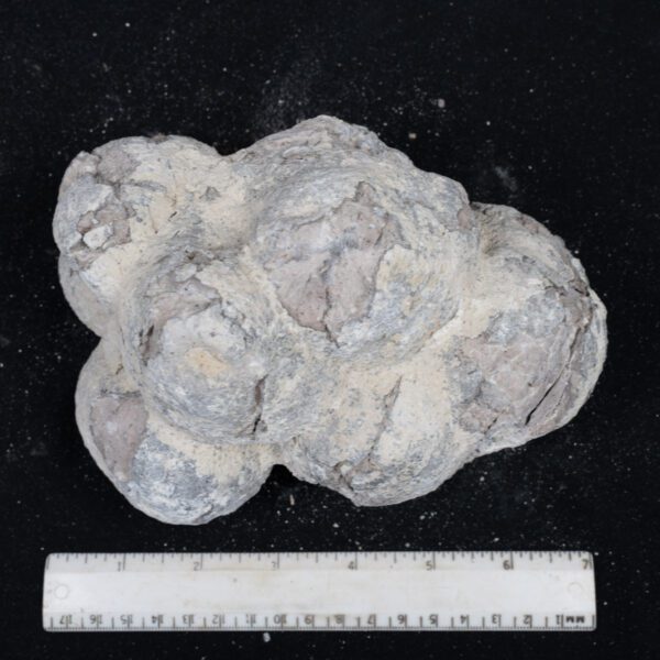 Dugway Geode Rough