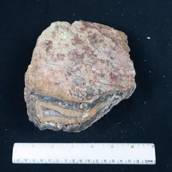 Big Diggins Agate Rough