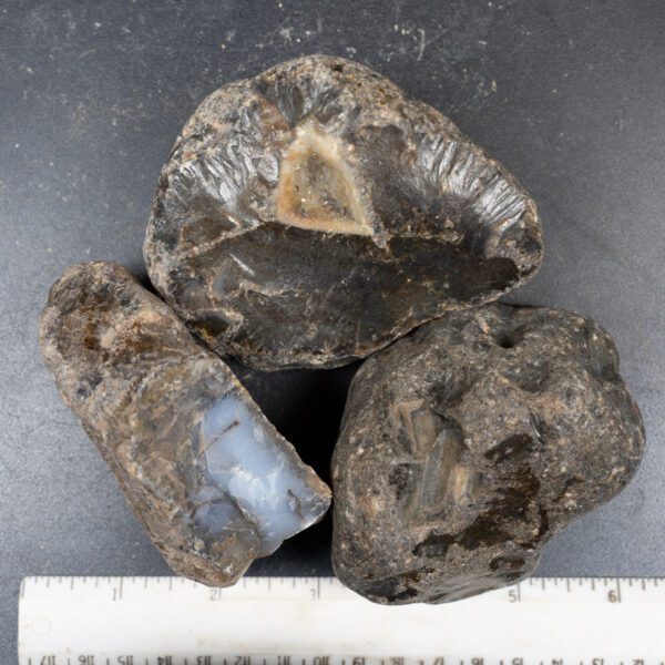 Black Skin Agate Rough