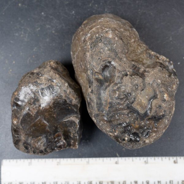 Black Skin Agate Rough