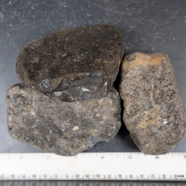 Black Skin Agate Rough