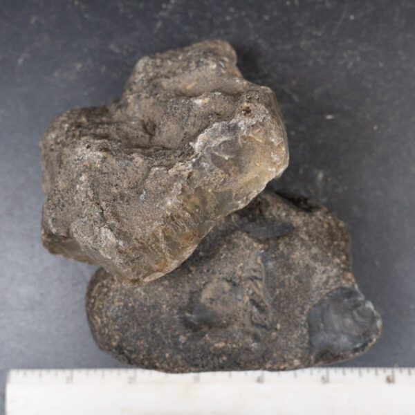 Black Skin Agate Rough