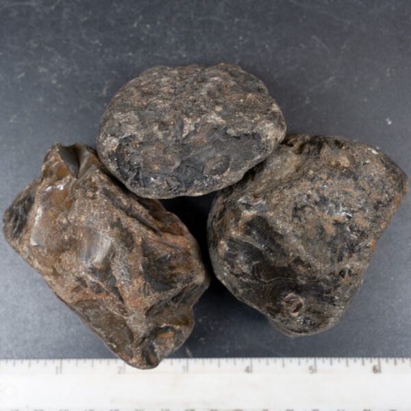 Black Skin Agate Rough