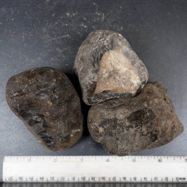 Black Skin Agate Rough