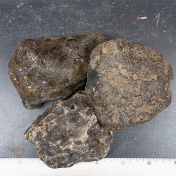 Black Skin Agate Rough
