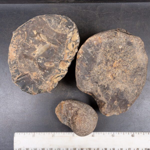 Brazilian Agate Nodules