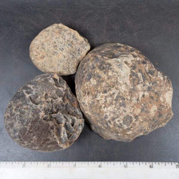 Brazilian Agate Nodules
