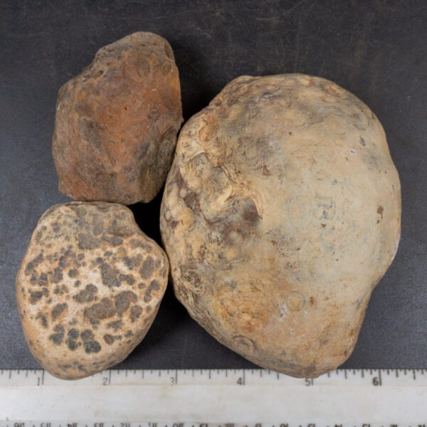 Brazilian Agate Nodules