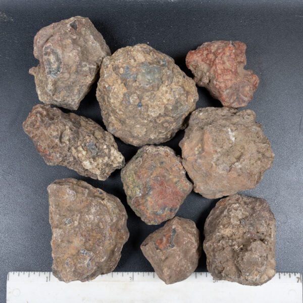 Condor Agate Nodules