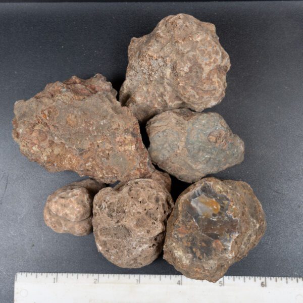 Condor Agate Nodules