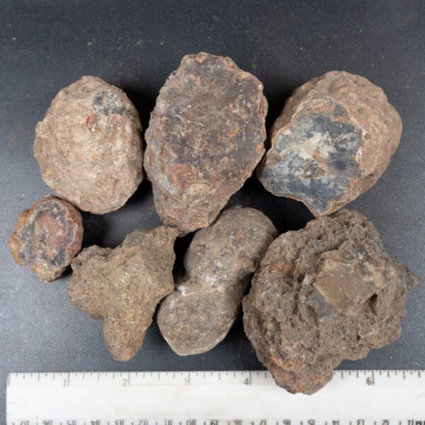 Condor Agate Nodules