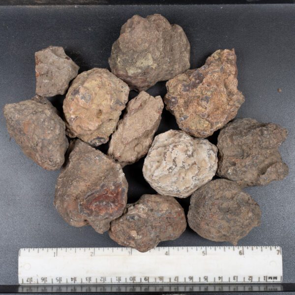 Condor Agate Nodules