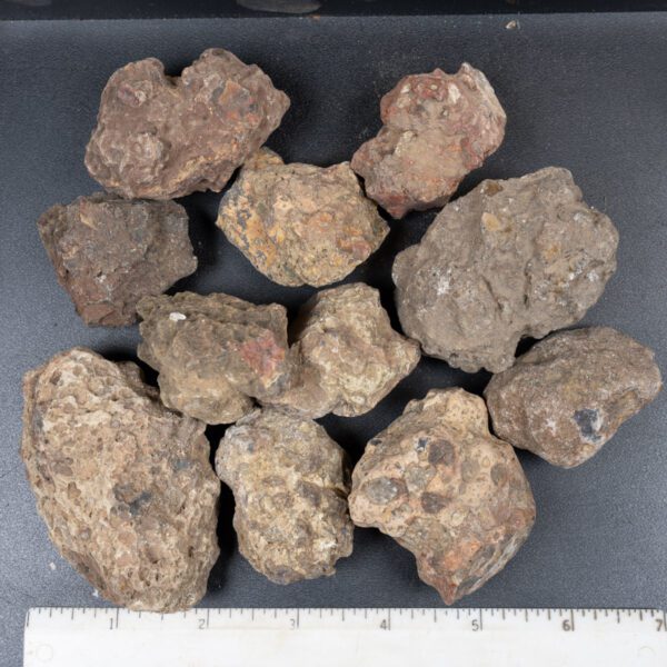 Condor Agate Nodules