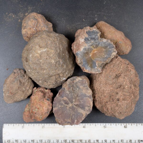 Condor Agate Nodules