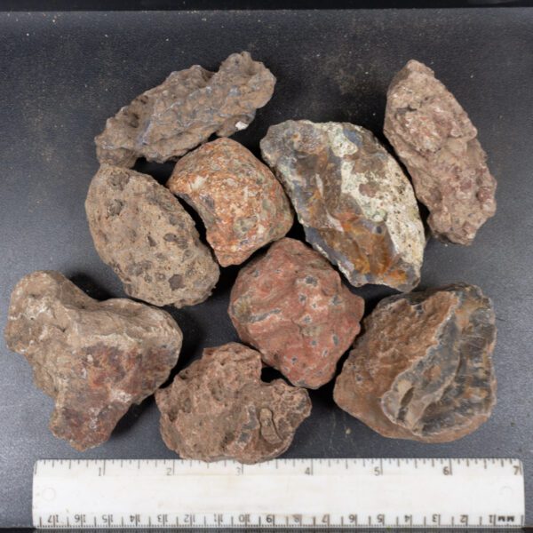 Condor Agate Nodules