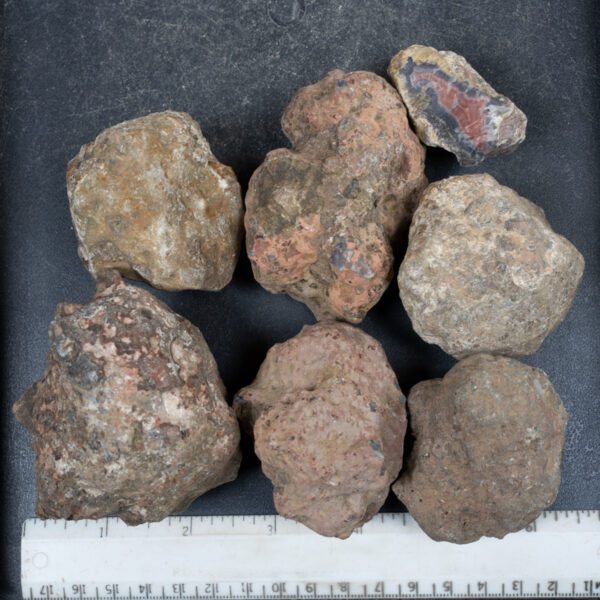 Condor Agate Nodules