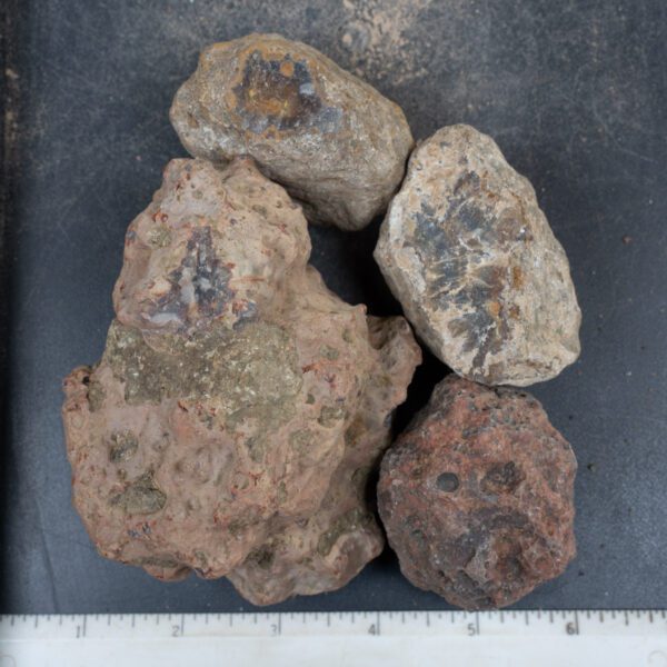 Condor Agate Nodules