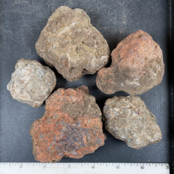Condor Agate Nodules