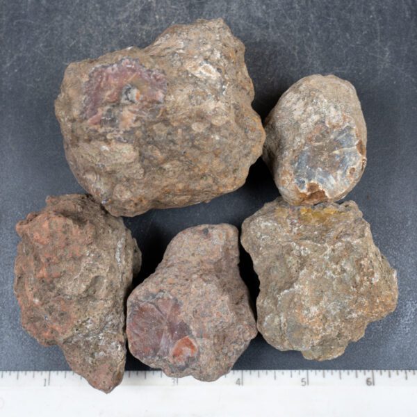 Condor Agate Nodules