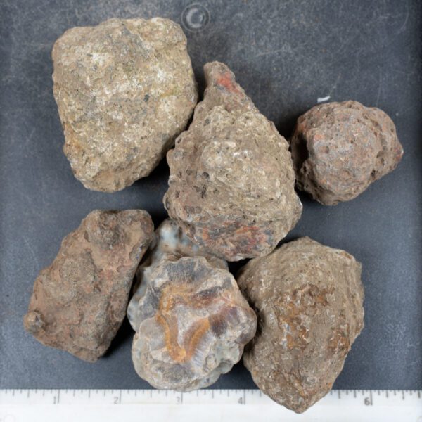 Condor Agate Nodules