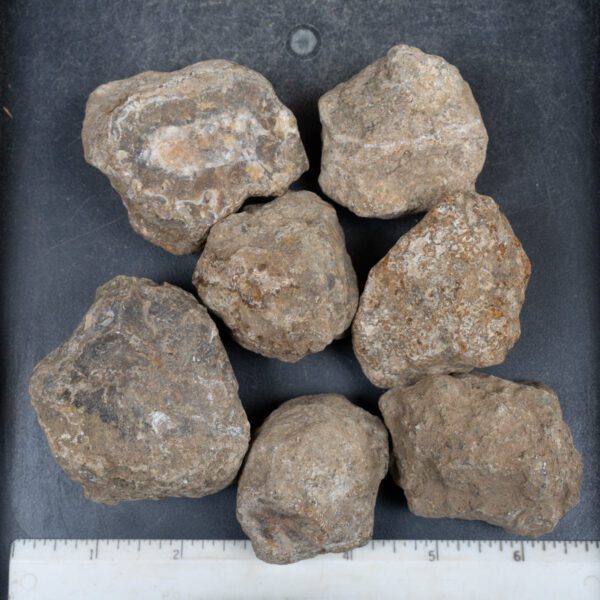 Condor Agate Nodules