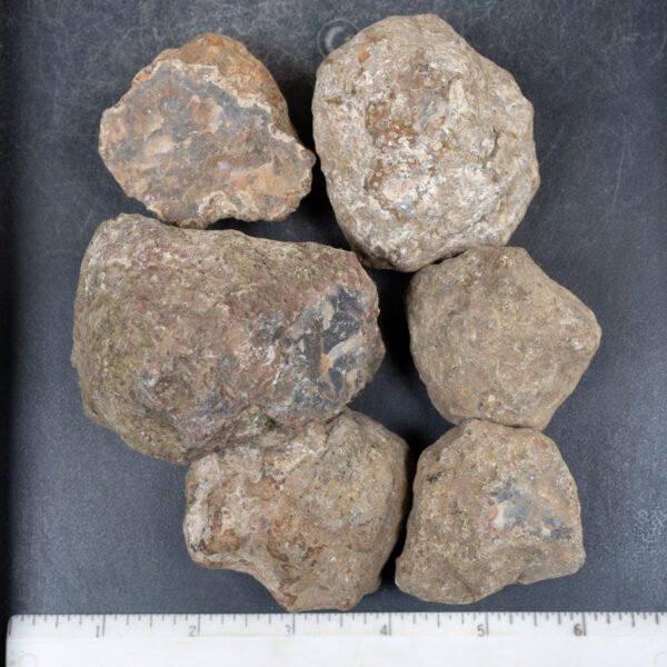 Condor Agate Nodules