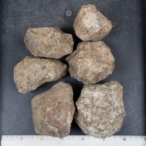 Condor Agate Nodules
