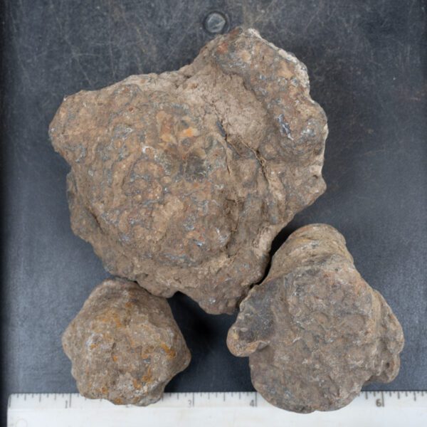Condor Agate Nodules