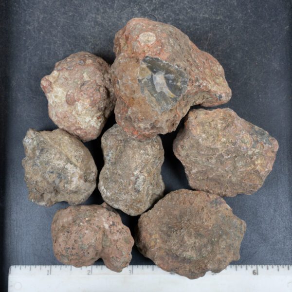 Condor Agate Nodules