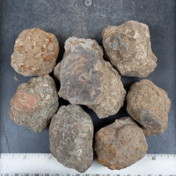Condor Agate Nodules