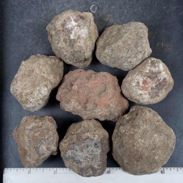 Condor Agate Nodules