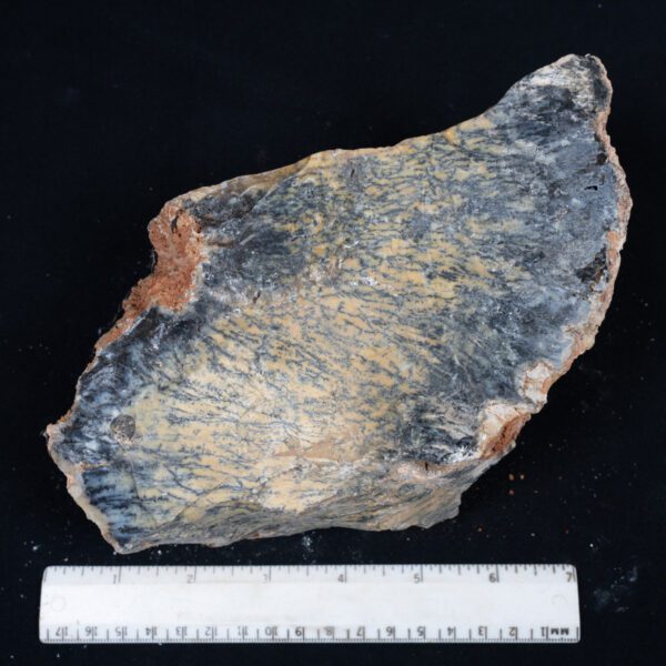 Dendritic Opal Rough