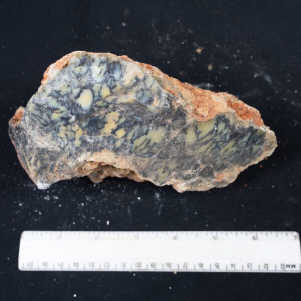 Dendritic Opal Rough