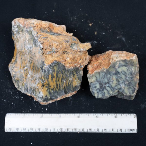 Dendritic Opal Rough