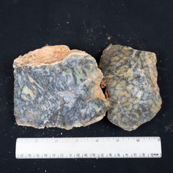 Dendritic Opal Rough