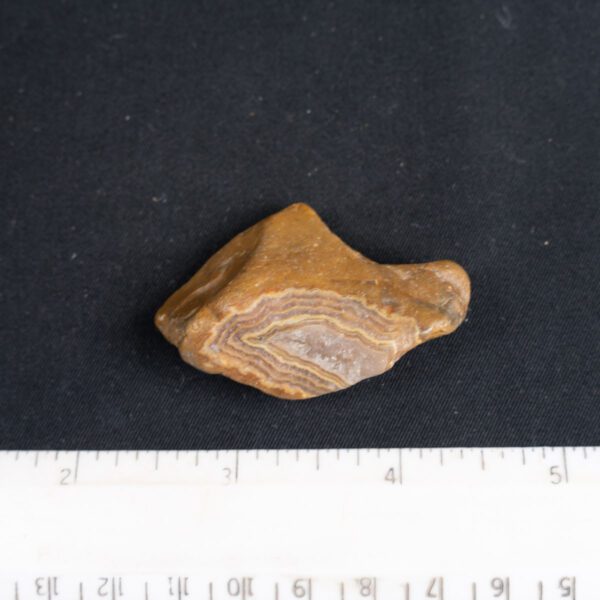 Fairburn Agate Specimen
