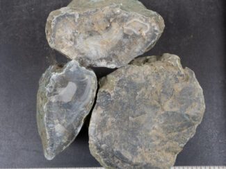 India Banded Agate Rough