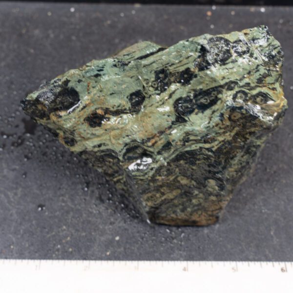 Kambaba Jasper Rough