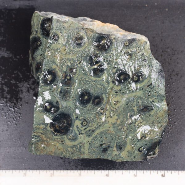 Kambaba Jasper Rough