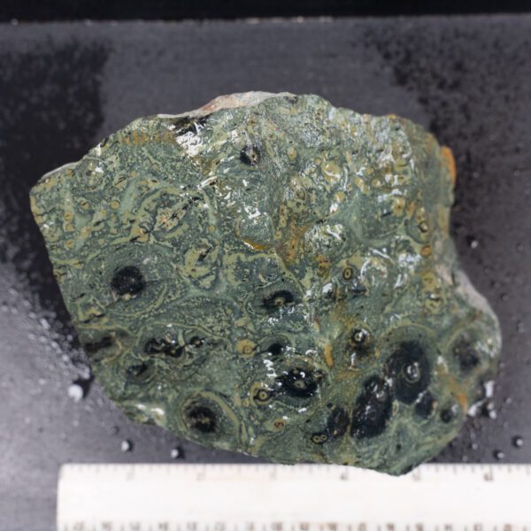 Kambaba Jasper Rough