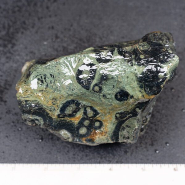Kambaba Jasper Rough