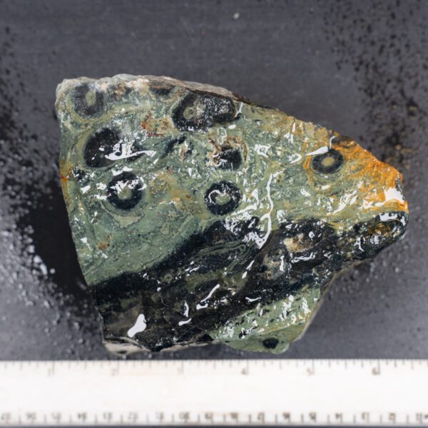 Kambaba Jasper Rough