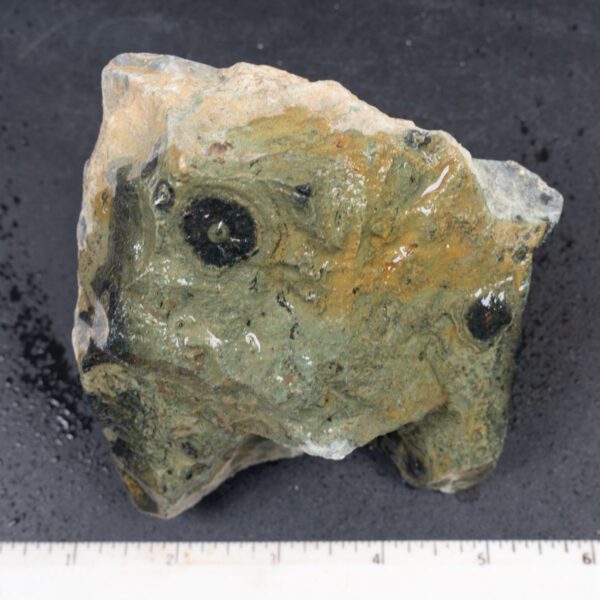 Kambaba Jasper Rough